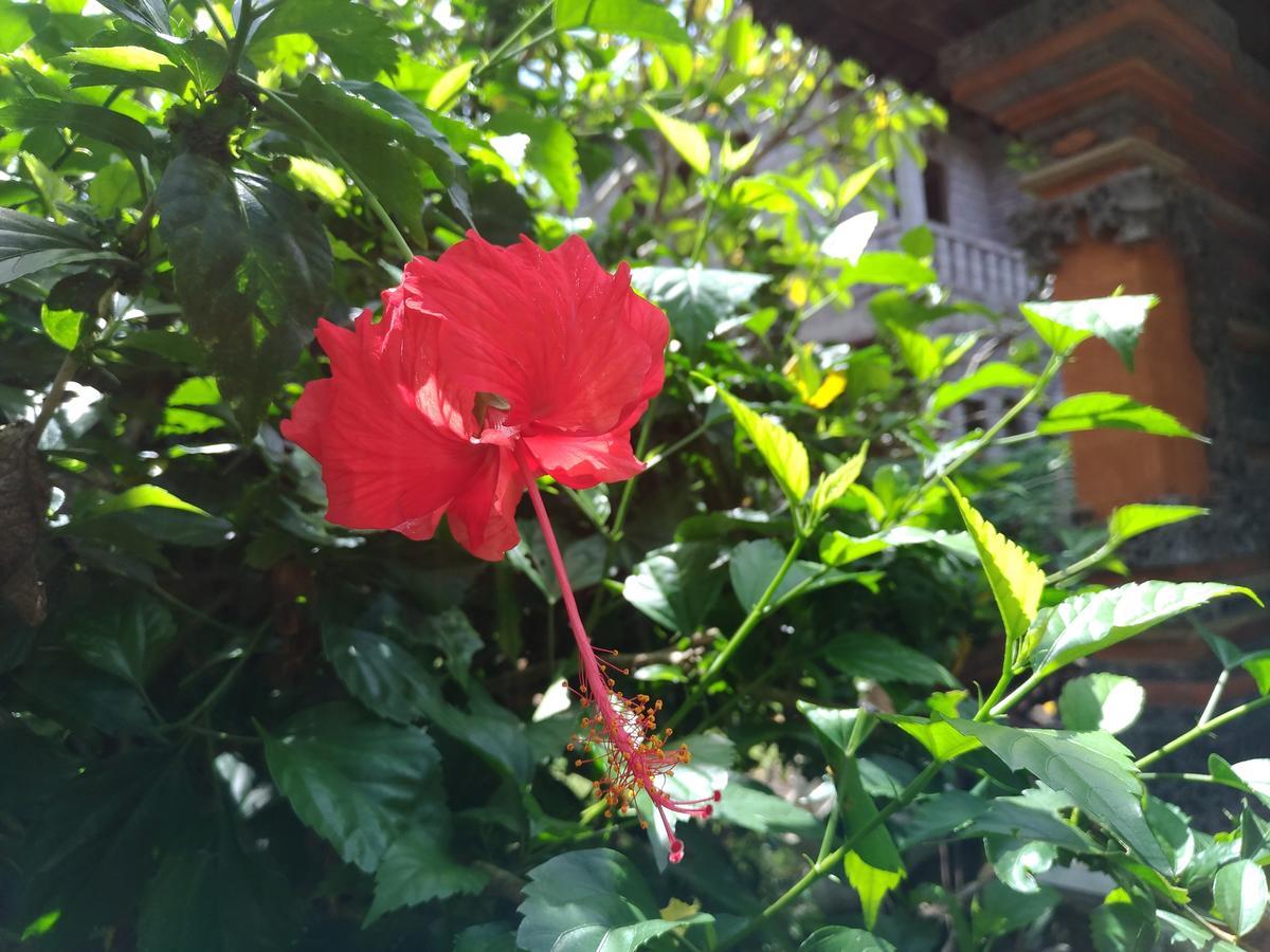 Mekenyem House Ubud エクステリア 写真